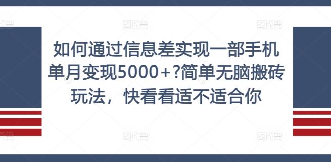 如何通过信息差实现一部手机单月变现5000+?简单无脑搬砖玩法，快看看适不适合你【揭秘】-硕飞聊项目