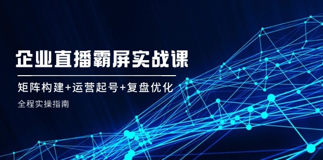 企业直播霸屏实战课：矩阵构建+运营起号+复盘优化，全程实操指南-硕飞聊项目