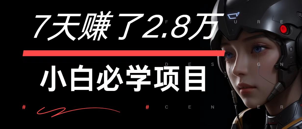7天赚了2.8万！每单利润最少500+，轻松月入7万+小白有手就行-硕飞聊项目
