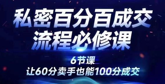 私密百分百成交流程线上训练营，绝对成交，让60分卖手也能100分成交-硕飞聊项目