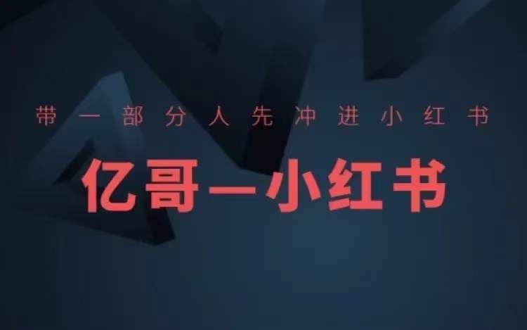 ​​带一部分人先冲进小红书，小红书开店、选品、爆款裂变-硕飞聊项目
