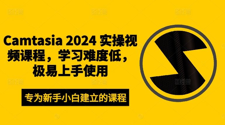 Camtasia 2024 实操视频课程，学习难度低，极易上手使用-硕飞聊项目