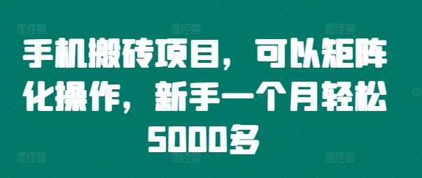 手机搬砖项目，可以矩阵化操作，新手一个月轻松5000多-硕飞聊项目
