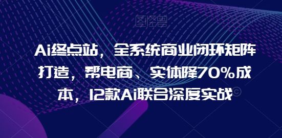 Ai终点站，全系统商业闭环矩阵打造，帮电商、实体降70%成本，12款Ai联合深度实战【0906更新】-硕飞聊项目