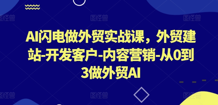 AI闪电做外贸实战课，​外贸建站-开发客户-内容营销-从0到3做外贸AI(更新)-硕飞聊项目