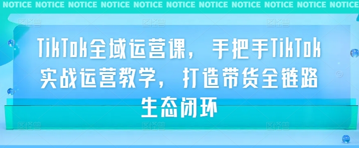 TikTok全域运营课，手把手TikTok实战运营教学，打造带货全链路生态闭环-硕飞聊项目