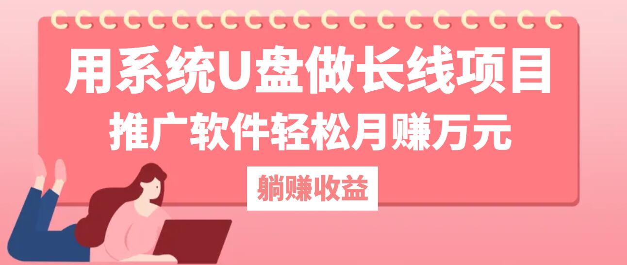 用系统U盘做长线项目，推广软件轻松月赚万元(附制作教程+软件-硕飞聊项目