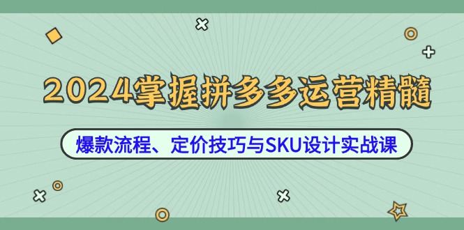 2024掌握拼多多运营精髓：爆款流程、定价技巧与SKU设计实战课-硕飞聊项目