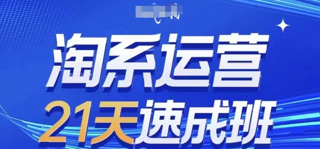 淘系运营21天速成班(更新24年9月)，0基础轻松搞定淘系运营，不做假把式-硕飞聊项目