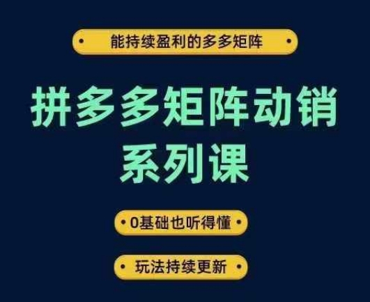 拼多多矩阵动销系列课，能持续盈利的多多矩阵，0基础也听得懂，玩法持续更新-硕飞聊项目