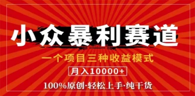 视频号最新爆火赛道，三种可收益模式，0粉新号条条原创条条热门 日入1000+-硕飞聊项目