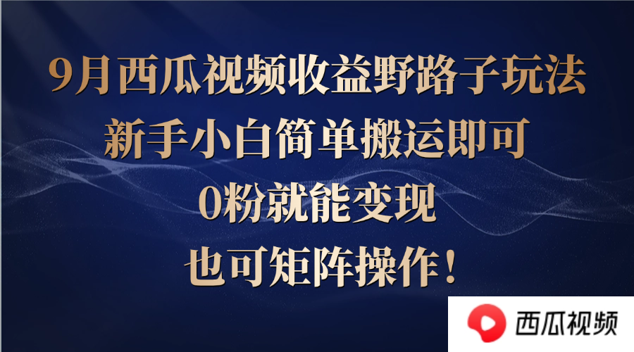 西瓜视频收益野路子玩法，新手小白简单搬运即可，0粉就能变现，也可矩…-硕飞聊项目