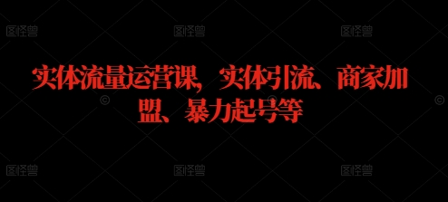 实体流量运营课，实体引流、商家加盟、暴力起号等-硕飞聊项目