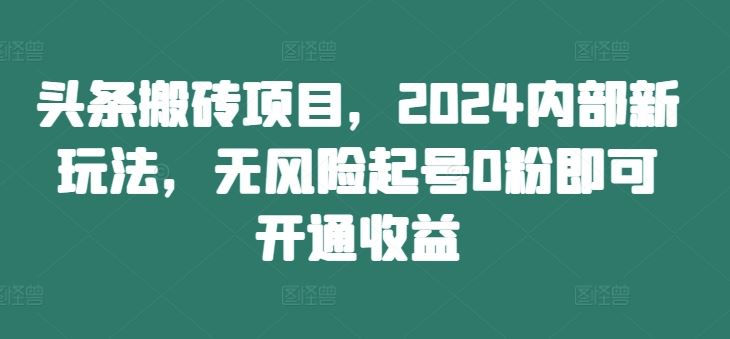 头条搬砖项目，2024内部新玩法，无风险起号0粉即可开通收益-硕飞聊项目