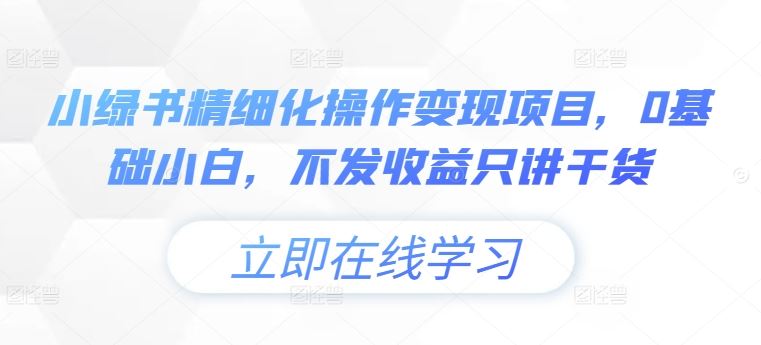 小绿书精细化操作变现项目，0基础小白，不发收益只讲干货-硕飞聊项目