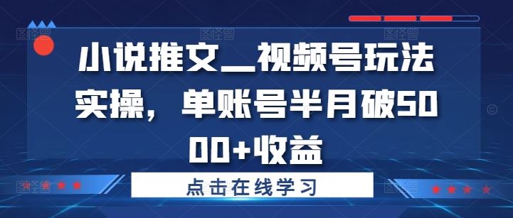 小说推文—视频号玩法实操，单账号半月破5000+收益-硕飞聊项目