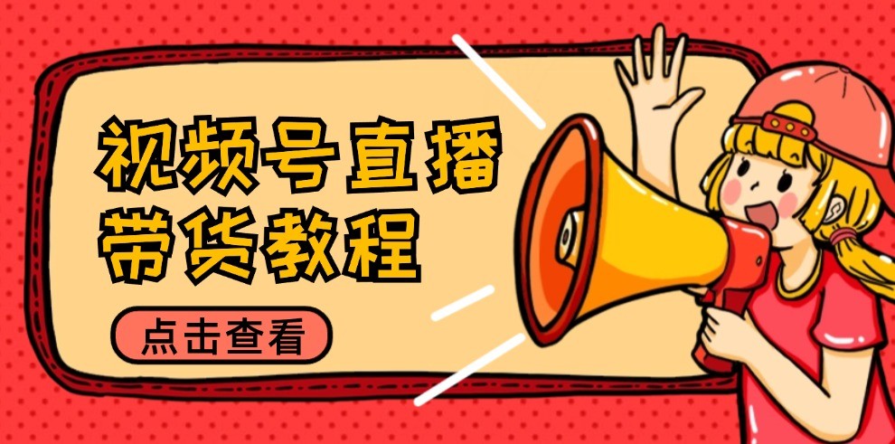 视频号直播带货教程：选品思路与话术拆解/掌握多种带货套路/提升直播效果-硕飞聊项目