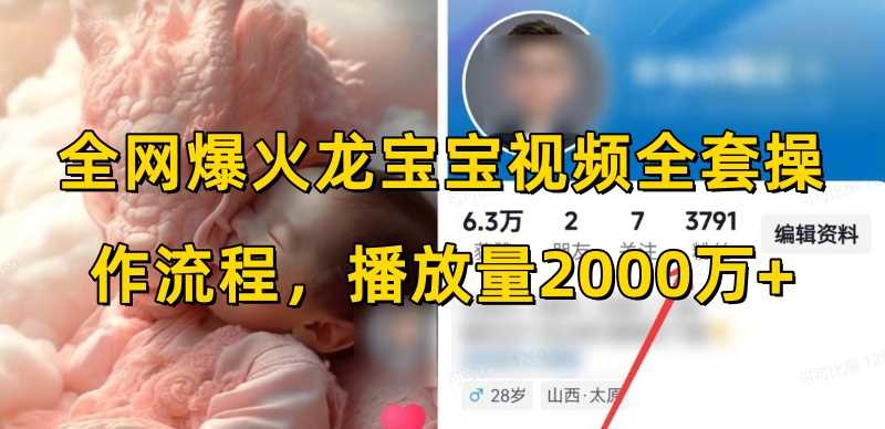全网爆火龙宝宝视频全套操作流程，播放量2000万+-硕飞聊项目
