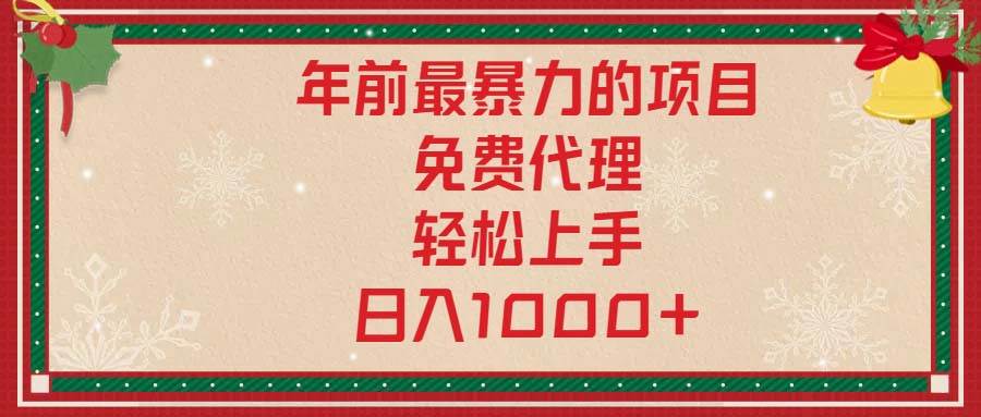（13773期）年前最暴力的项目，免费代理，轻松上手，日入1000+-硕飞聊项目
