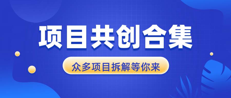 （13778期）项目共创合集，从0-1全过程拆解，让你迅速找到适合自已的项目-硕飞聊项目