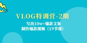 VLOG特训营第2期:写出10w+爆款文案,制作爆款视频(18节课)-硕飞聊项目