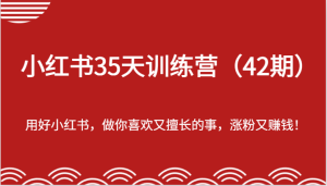 小红书35天训练营(42期)-用好小红书,做你喜欢又擅长的事,涨粉又赚钱!-硕飞聊项目