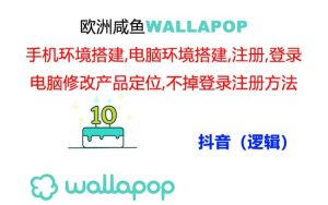 (11549期)wallapop整套详细闭环流程:最稳定封号率低的一个操作账号的办法-硕飞聊项目