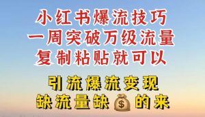小红书爆流技巧,一周突破万级流量,复制粘贴就可以,引流爆流变现【揭秘】-硕飞聊项目