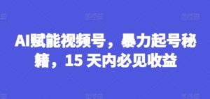 AI赋能视频号，暴力起号秘籍，15 天内必见收益【揭秘】-硕飞聊项目