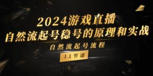 (11653期)2024游戏直播-自然流起号稳号的原理和实战,自然流起号流程(11节)-硕飞聊项目