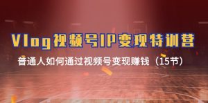 (11654期)Vlog 视频号IP变现特训营,普通人如何通过视频号变现赚钱(15节)-硕飞聊项目