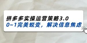 (11658期)2024_2025拼多多实操运营策略3.0,0~1完美蜕变,解决信息焦虑(38节)-硕飞聊项目