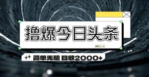 (11665期)撸爆今日头条 简单无脑操作 日收2000+-硕飞聊项目