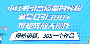 (11692期)小红书引高质量白领粉,单号日引300+,可放大操作,爆粉秘籍!30s一个作品-硕飞聊项目