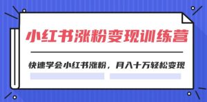 (11762期)2024小红书涨粉变现训练营,快速学会小红书涨粉,月入十万轻松变现(40节)-硕飞聊项目