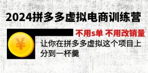 (12024期)2024拼多多虚拟电商训练营 不s单 不改销量 做虚拟项目分一杯羹(更新10节)-硕飞聊项目