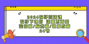 (12097期)2024钩子·引流课:钩子下得好 流量不再愁,定位篇/标签篇/破播放篇/24节-硕飞聊项目