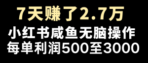 七天赚了2.7万!每单利润最少500+,轻松月入5万+小白有手就行-硕飞聊项目