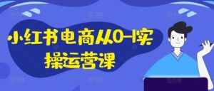 小红书电商从0-1实操运营课,小红书手机实操小红书/IP和私域课/小红书电商电脑实操板块等-硕飞聊项目
