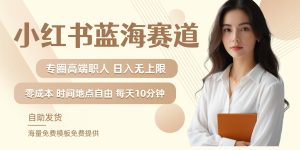 小红书蓝海赛道，圈中高端职场人，月入无上限，可矩阵，内含私域实操教程!-硕飞聊项目