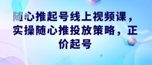 随心推起号线上视频课，实操随心推投放策略，正价起号-硕飞聊项目