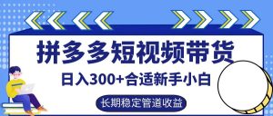 拼多多短视频带货日入300+,实操账户展示看就能学会-硕飞聊项目