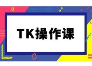 TK操作课,tiktok跨境电商教程(更新中)-硕飞聊项目