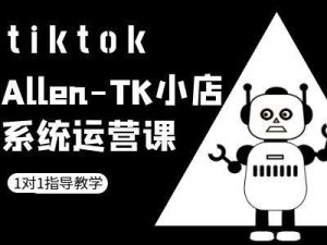 TK小店系统运营课-tiktok跨境电商教程-硕飞聊项目