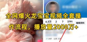 全网爆火龙宝宝视频全套操作流程,播放量2000万+-硕飞聊项目