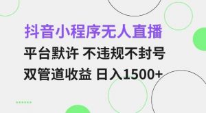 抖音小程序无人直播 平台默许 不违规不封号 双管道收益 日入多张 小白也能轻松操作【仅揭秘】-硕飞聊项目